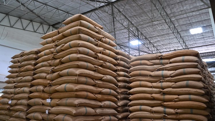Japan’s food exports higher than last year’s, with Hong Kong the greatest importer