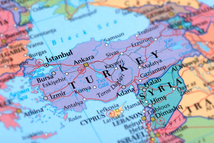 High feed prices, industry inefficiency and pandemic curtailing chicken meat sector in Turkey 