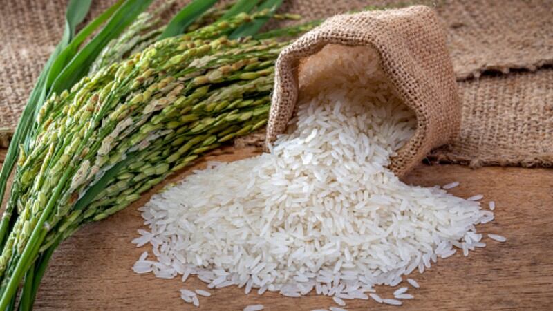 Critical-period-China-looks-to-secure-national-food-supply-by-focusing-on-technology-and-manpower-upgrades.jpg
