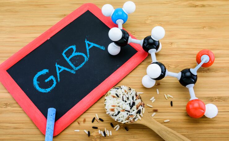 GABA innovation in functional foods: Ingredient added to chocolate, rice products in Japan