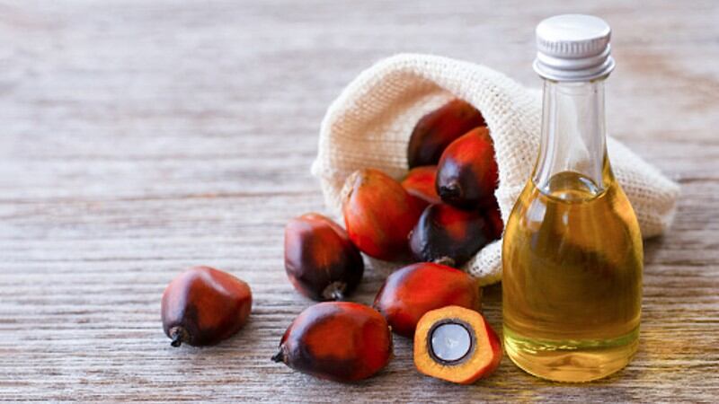 Palm oil trade shift: Malaysia likely to emerge as big winner with UK’s CPTPP membership approval