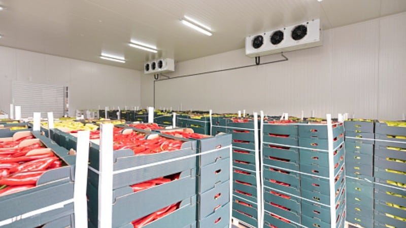 Play-it-cool-Indian-industry-lauds-new-cold-chain-projects-to-reduce-food-waste-and-boost-exports.jpg