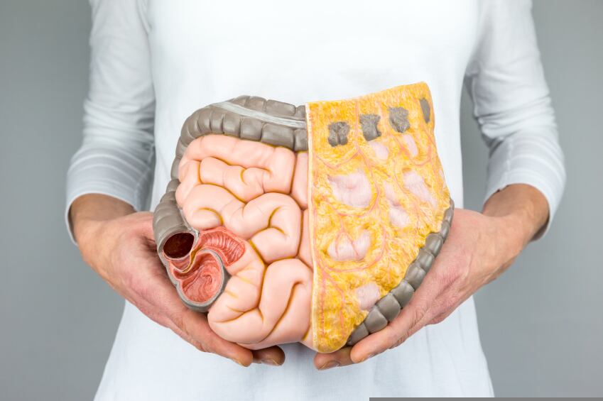 intestines-gut-iStock.com-Ben-Schonewille.jpg