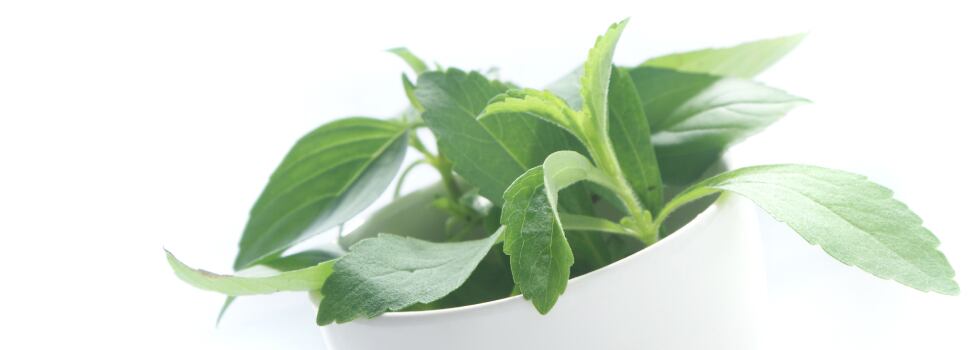 How-the-war-on-sugar-in-Asia-Pacific-is-creating-a-need-for-full-natural-sweetener-solutions.jpg