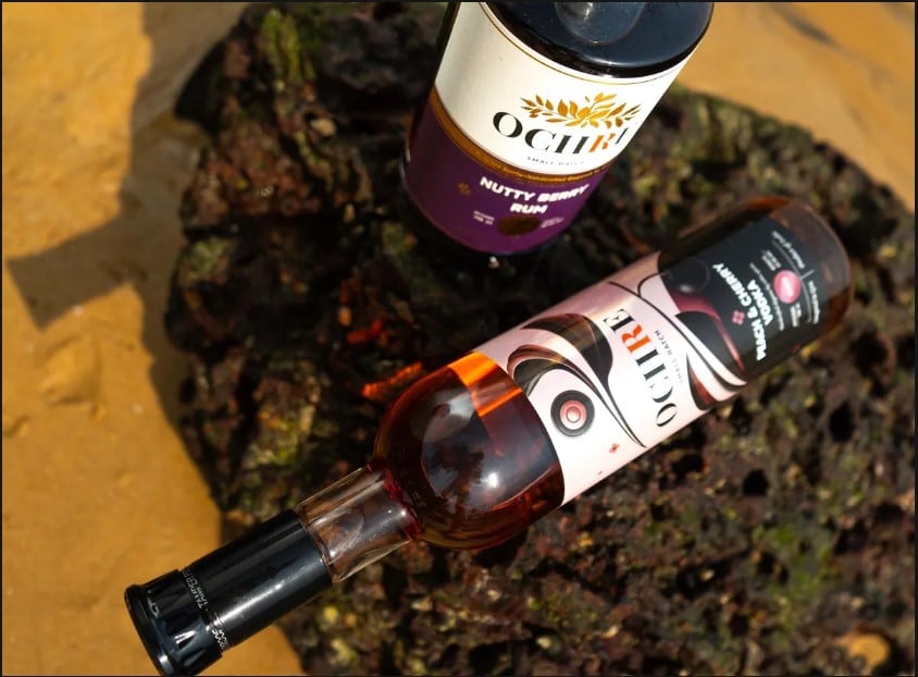 Goa-based-Ochre-Spirits-rides-the-global-cocktail-wave-with-bold-low-calorie-alcohol-options.jpg