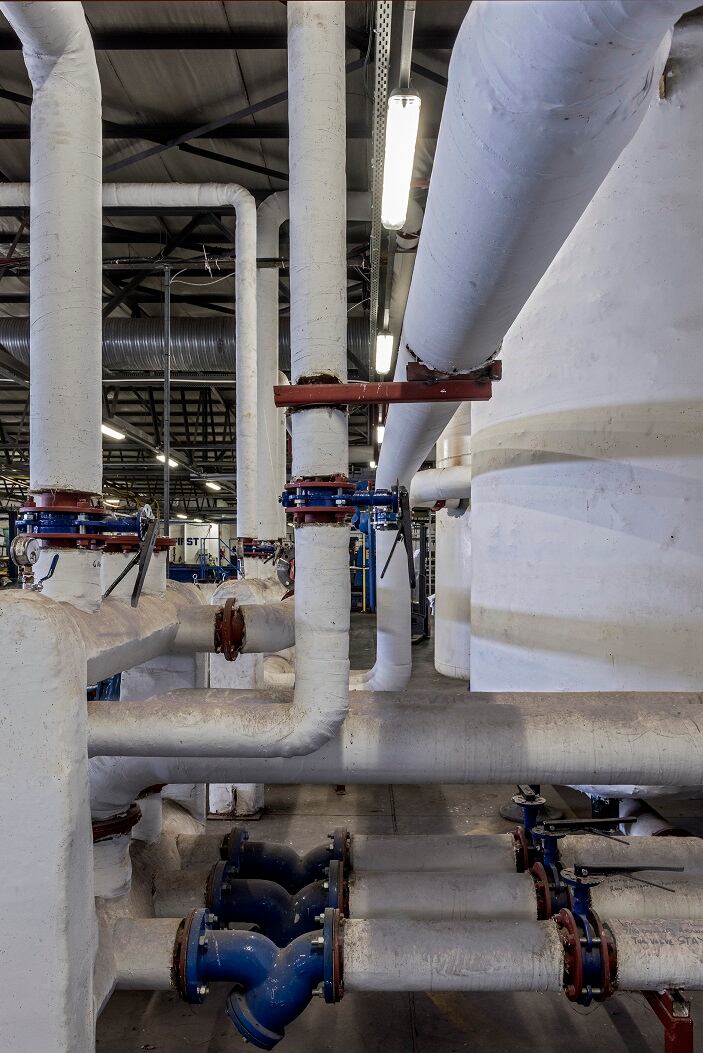 agriprotein-plant-cape-town.jpg