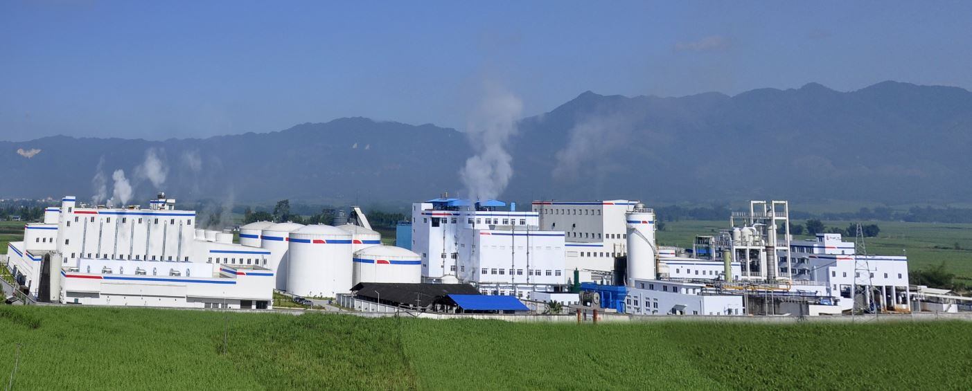 崛起之路:安琪酵母扩大在中国的产量,满足消费者对天然营养调味料的需求