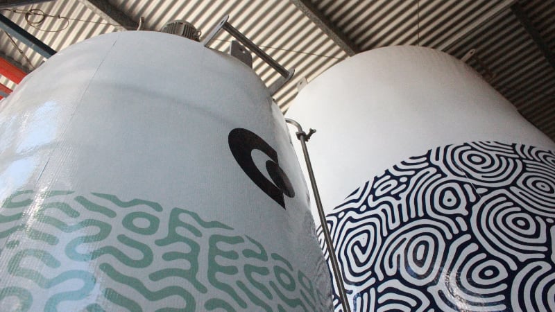 Cauldron Ferm’s new precision fermentation facility in Queensland set to reduce production cost, raise capacity 