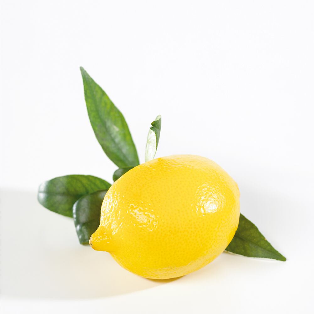 Ph-Citrus-pectin-Raw-material-2.jpg
