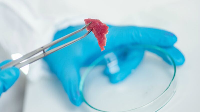 Cell-based meat in China: Firms urged to ‘break away’ from plant-based products to appeal to local consumers