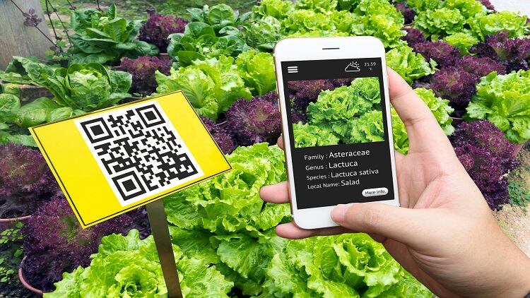 Country-of-origin-brand-and-tamper-proof-seals-China-consumers-most-trusted-measures-of-safe-foods.jpg