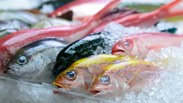 Satellites for sustainable fishing: Indonesian fishing sector to benefit from international project