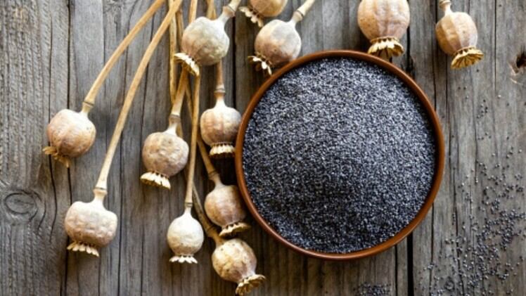 安全第一:オーストラリアのケシの種による中毒のリコール、2022年のAPAC食品安全記事トップ10、キムチの抜き打ち検査