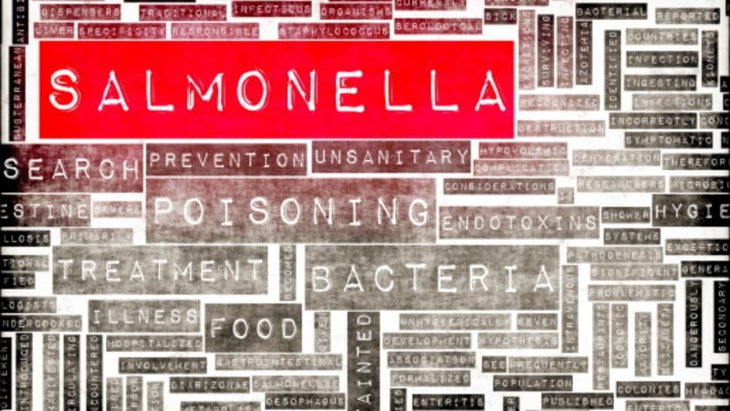Food poisoning risk: Australia’s Salmonella woes rage with new data on chicken in NSW 