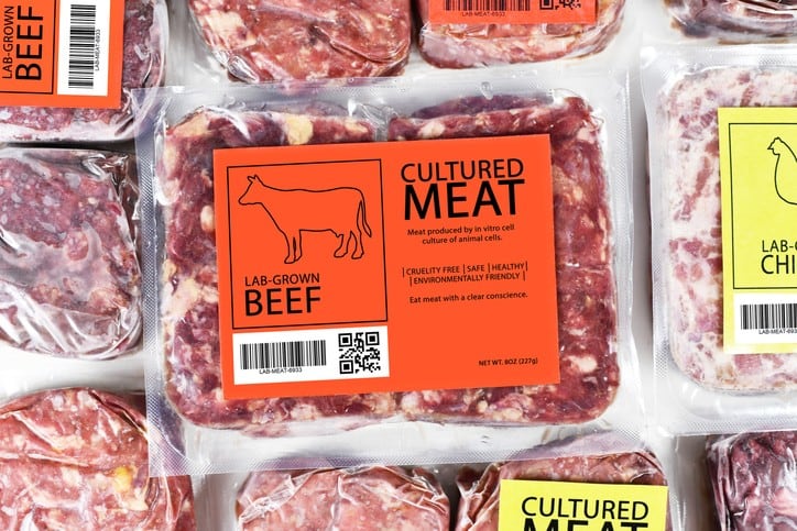 Cultured meat future: Why government buy-in is crucial for sector to hit production cost parity by 2030