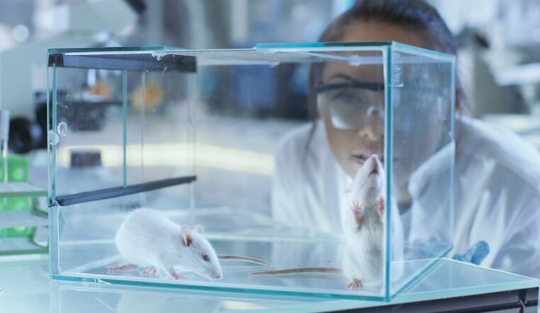 Anti-fatigue health claims: Taiwan animal test ban to increase cost and time for registering products
