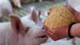 Sustainable soy: Nourishing the minds of the next generation to feed growing populations