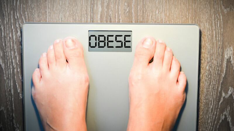Better-late-than-never-New-Zealand-government-finally-responds-to-industry-s-anti-obesity-plan.jpg