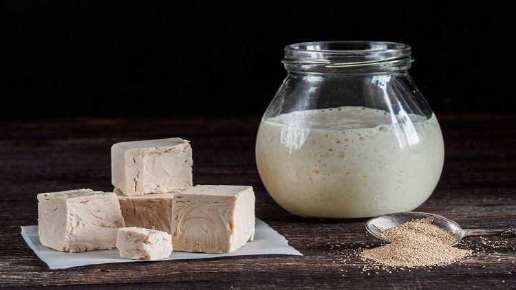 From-yeast-to-protein-Lesaffre-embarks-on-new-research-amid-booming-interest-in-plant-based-protein.jpg