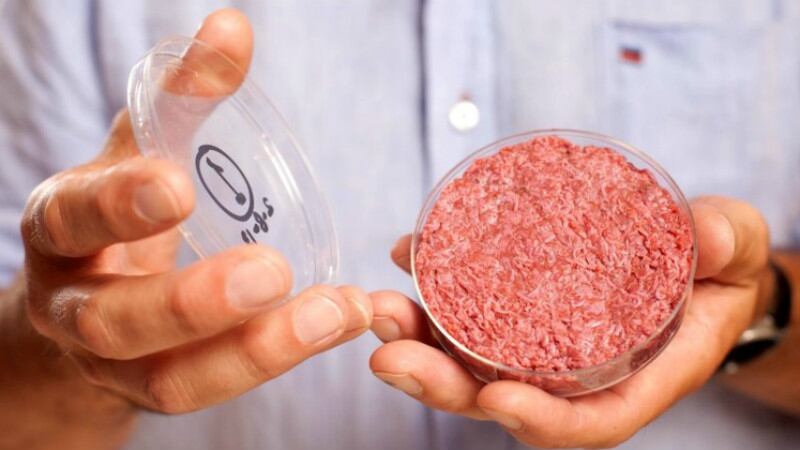 China’s cell-based meat future: Calls for national strategy to accelerate sector’s growth 