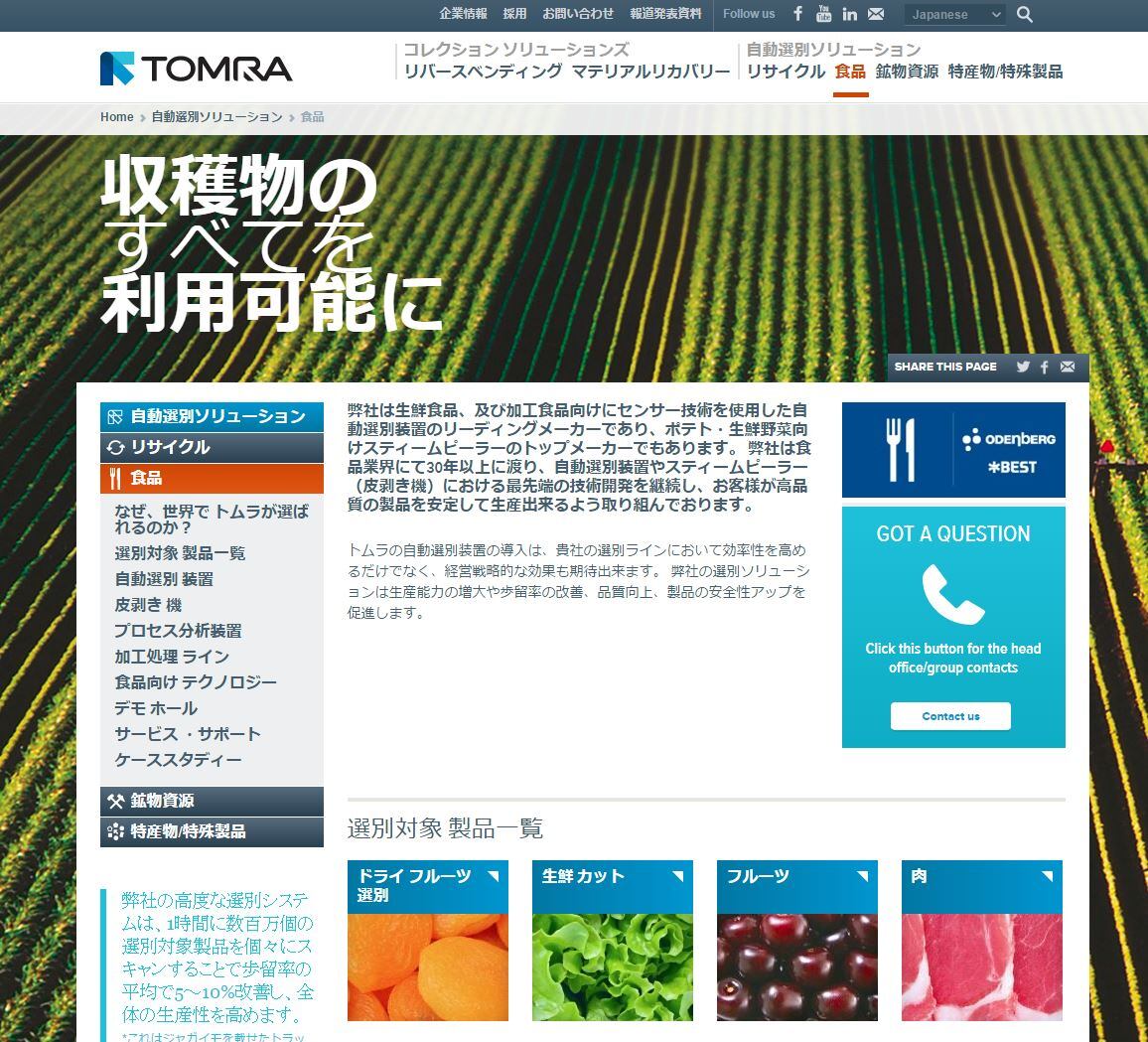 screenshot2-japanese-website.jpg