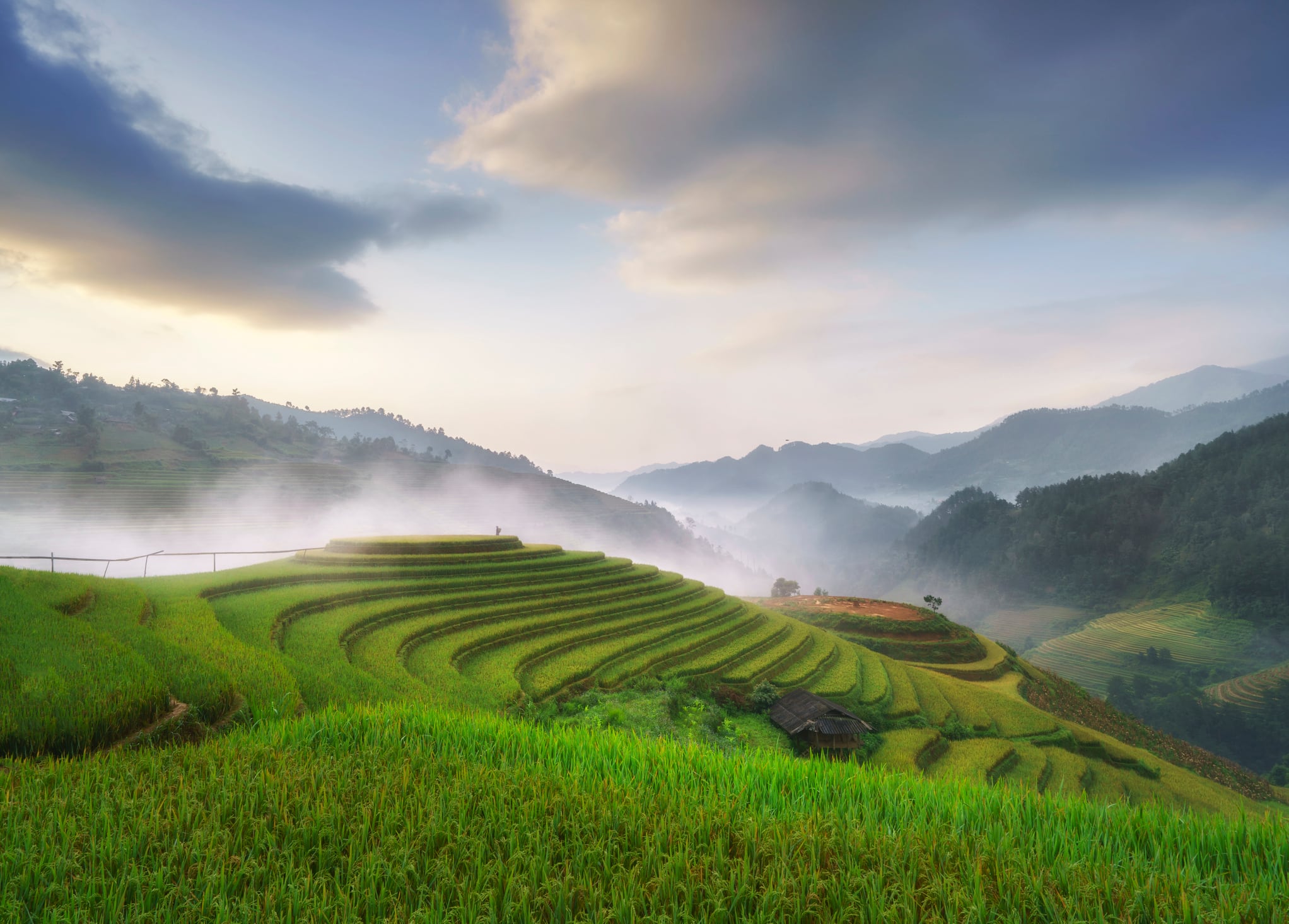 Philippines faces rice price instability amid global unrest