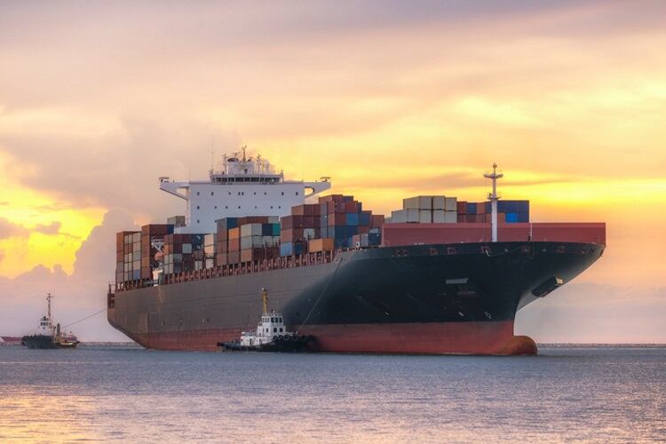 China drives Australian live exports