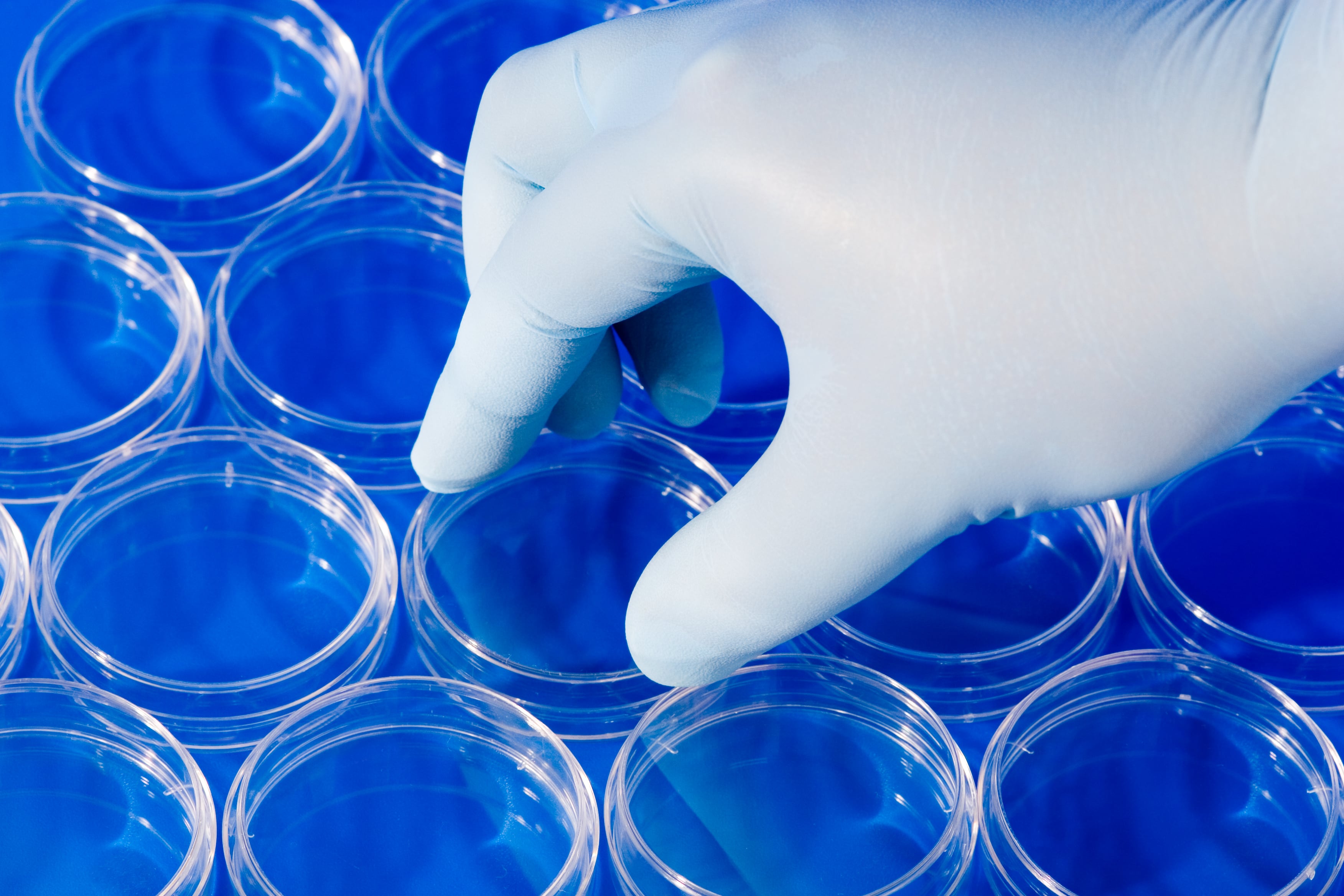 Cultivated meat M&A: Meatable buys Uncommon Bio platform