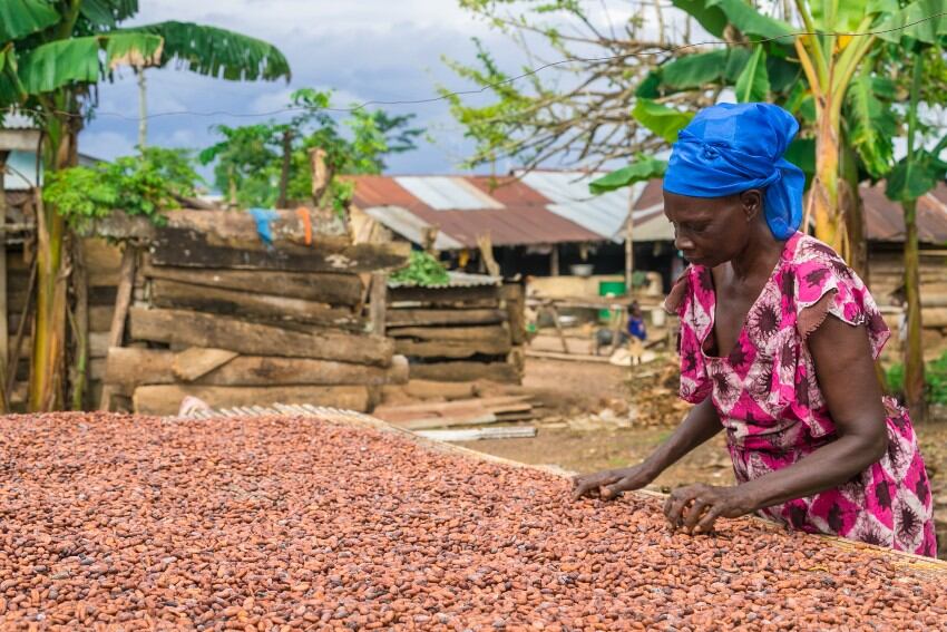 Fairtrade-and-Farmforce-scale-up-FairData-partnership-for-cocoa-farmers.jpg