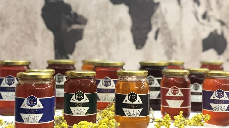 Sweet success: Turkish honey brand Polenkoy achieves 30% growth in India, Australia, eyes wider-Asia