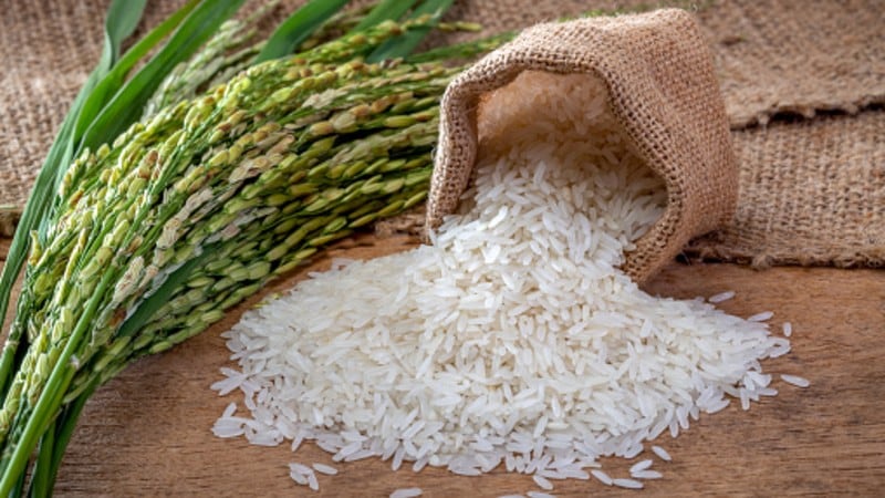 Legacy vs price: Rice exports from Vietnam and India vie for ASEAN trade post-COVID-19