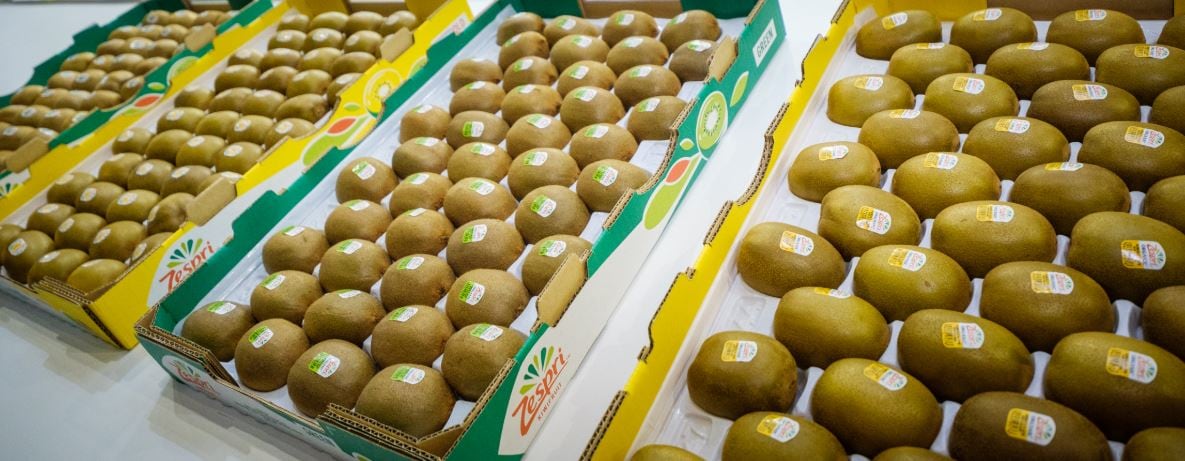 Kiwi-kicking-on-Zespri-continues-to-sees-strong-demand-in-China-amid-COVID-19-pandemic.jpg