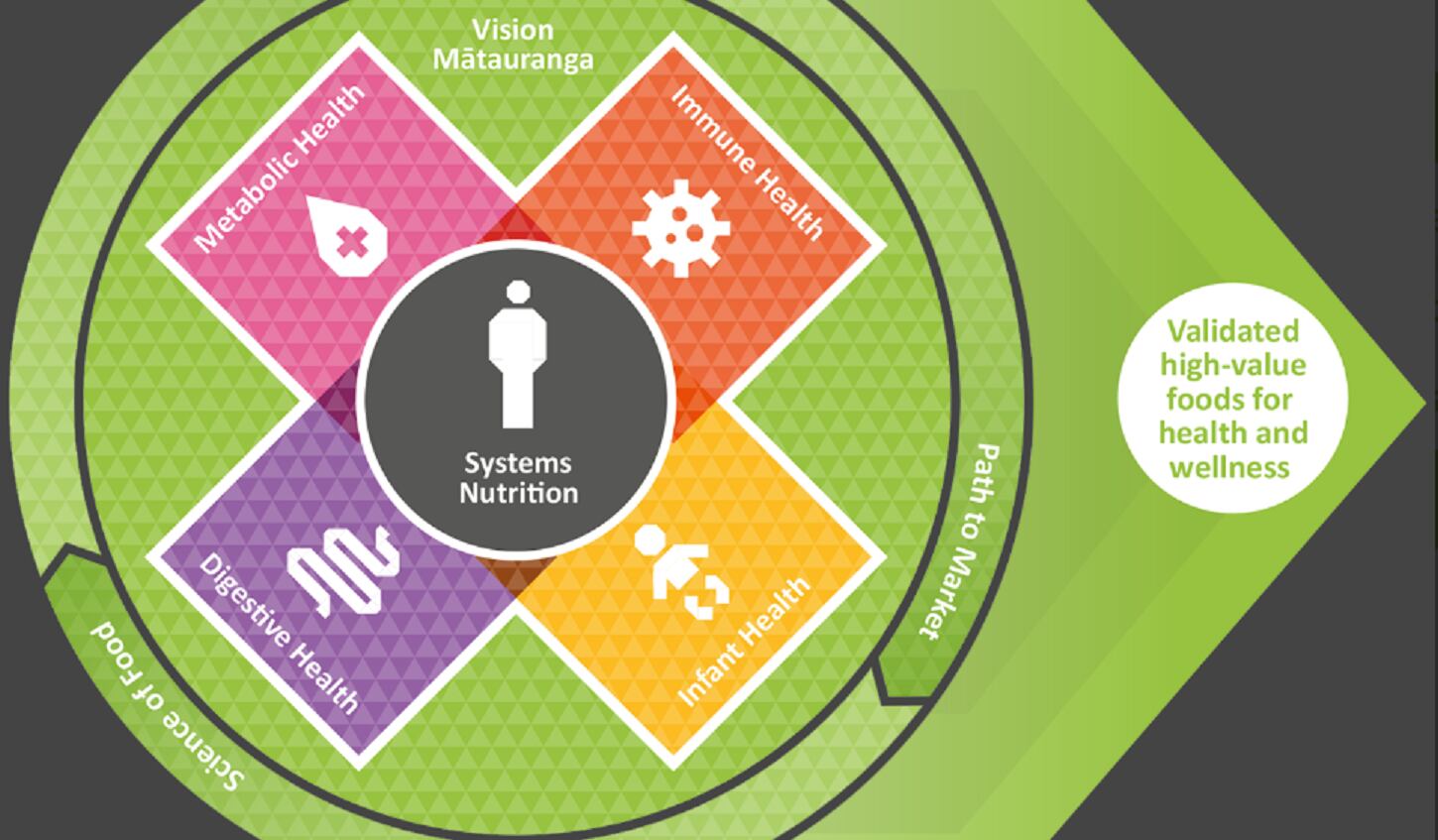 Seaweed and tree fern: $1.1M Māori-led research announced to create new NZ functional foods   