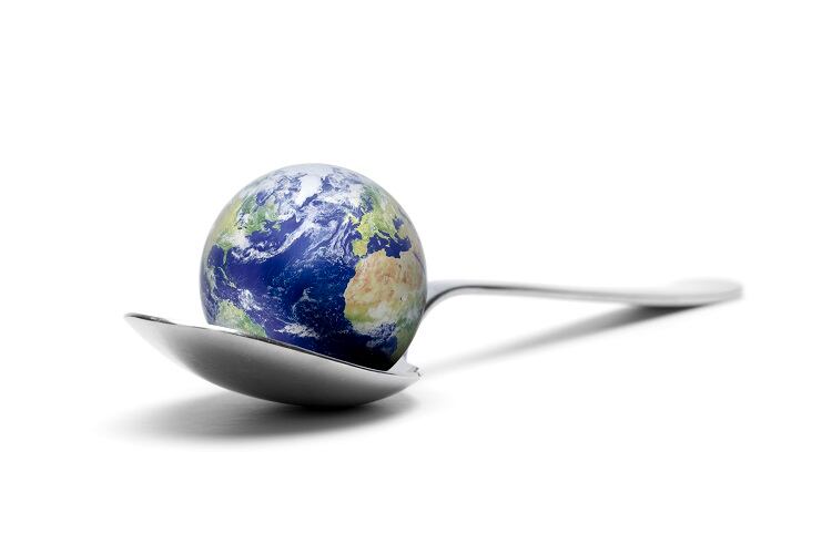 COP27-What-Clim-Eat-and-Infarm-want-to-see-in-Egypt.jpg