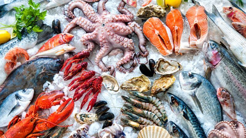 Stemming-the-tide-Challenged-Japanese-seafood-sector-urged-to-prioritise-sustainable-measures-to-maintain-profitability.jpg