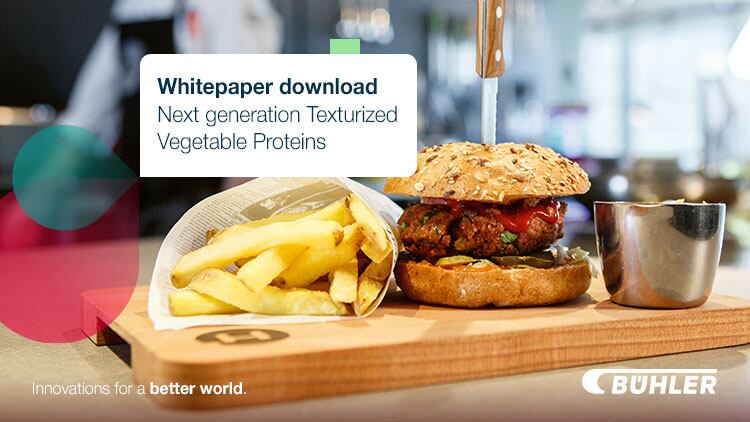 Towards a new generation of Texturized Vegetable Proteins