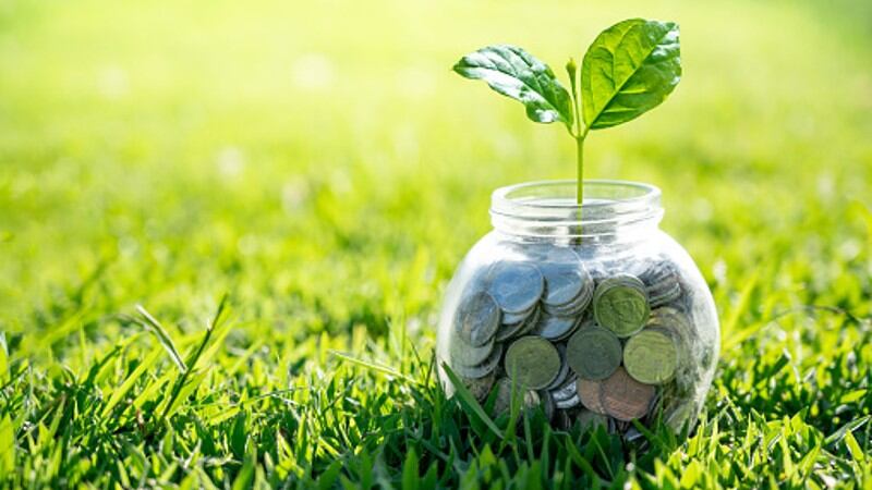 Funding ‘massive impact’: Plant-based, cell-cultured and fermentation tech sectors to benefit from new APAC fund 