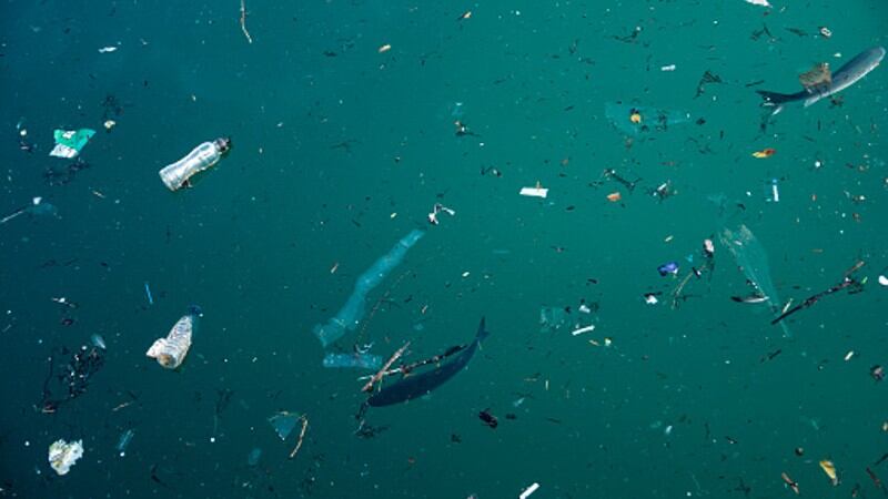 Microplastic pollution fears: South Korea seeks to allay consumers’ food concerns with new data