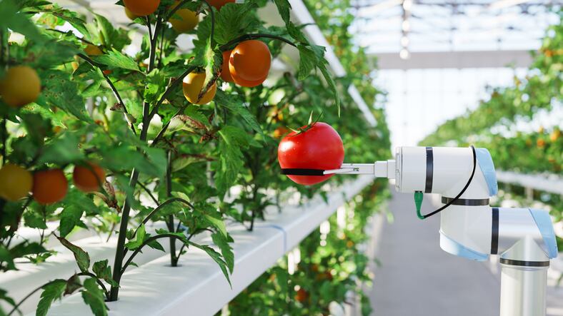 Asia food sector must push past digital ‘comfort zone’ for AI to break through