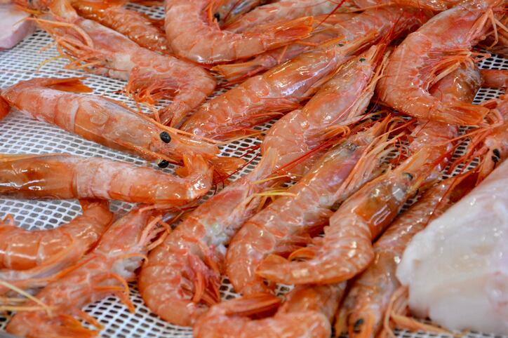 Shelling out on shrimp: How Vietnam is bucking the pandemic with spate of agri-food investment