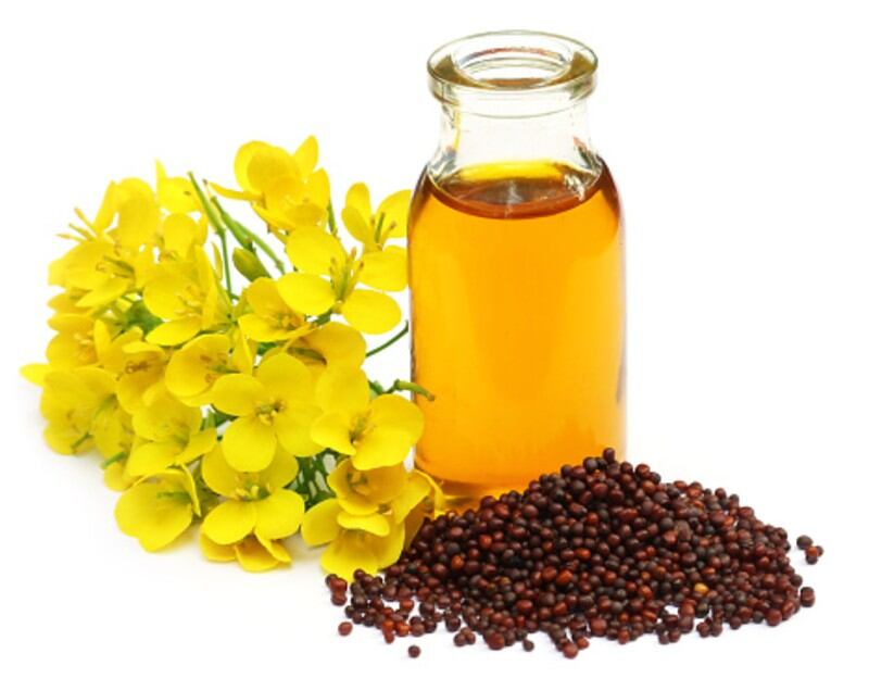 New-rules-cut-the-mustard-Indian-industry-lauds-government-s-blended-oil-ban-to-prevent-fraud-and-increase-value.jpg