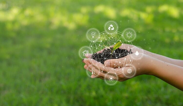 sustainability-Sakorn-Sukkasemsakorn.jpg