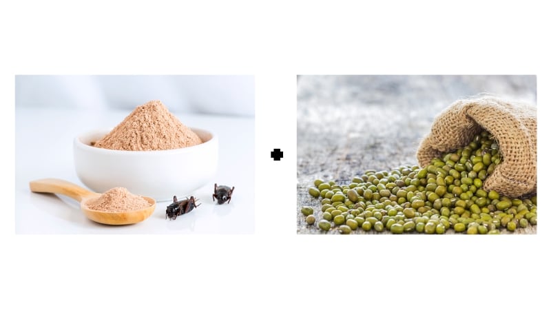 Best of both worlds? Bugsolutely fuses insect and plant proteins in new snack to maximise health and cost benefits