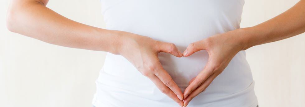 Nutriose-soluble-fiber-prebiotic-to-support-gut-health-and-immunity.jpg