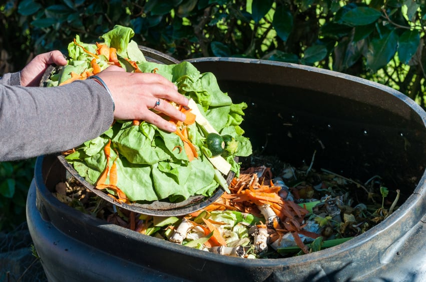 Japan urges food firms to improve waste management and reporting in new draft regulations