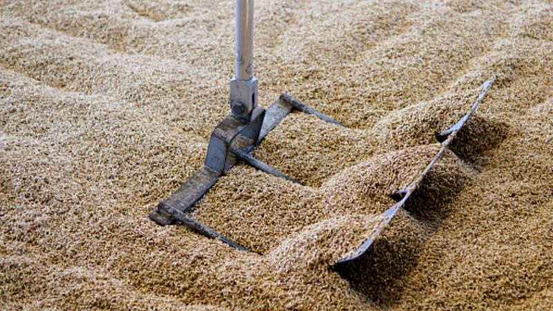 Well spent: Healthy noodle firm KosmodeHealth seeking spent barley partnerships with major F&B brands