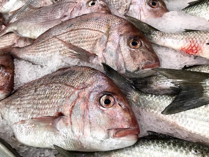 Fish fraud findings: Almost 20% of fish in Taiwan found to be mislabelled - study