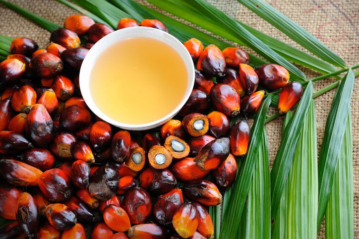 On-the-road-to-sustainability-Musim-Mas-to-advance-traceability-of-palm-oil-by-third-quarter.jpg