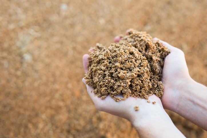 Brewers’ spent grain a promising snack ingredient that can be upcycled to regulate blood sugar levels – new trial
