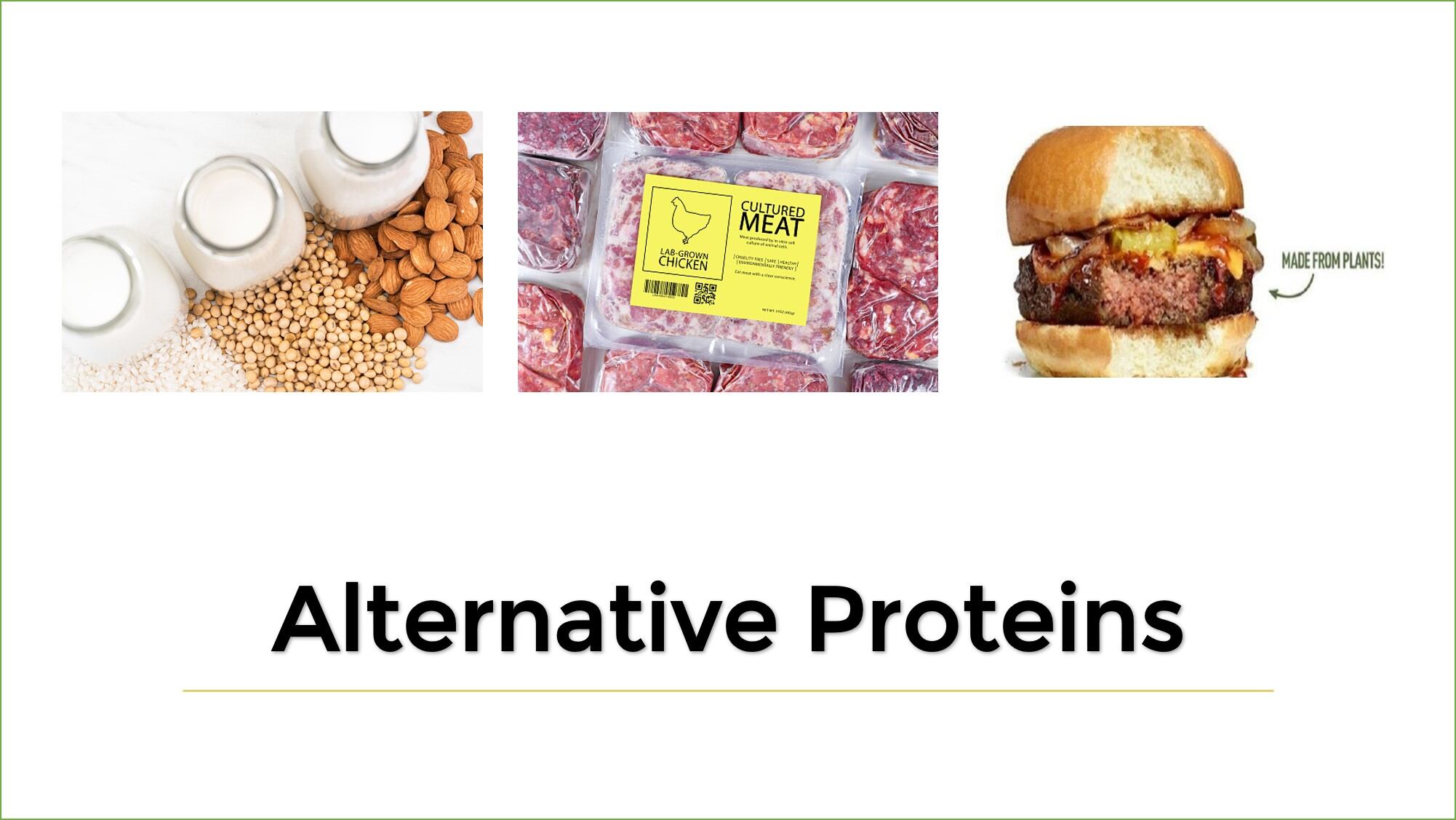 Alt Protein Watch: OmniFoods' latest seafood launch, cell-based IP protection, China's YouKuai and more feature in our round-up